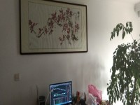 其它图