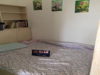 其它图