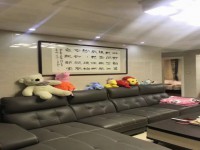 其它图