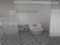 其它图
