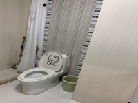 其它图