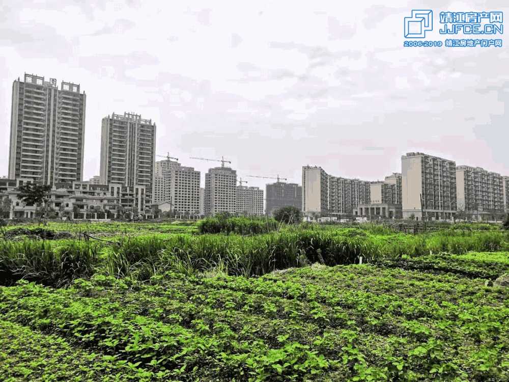 微信图片_20190705001253副本.jpg